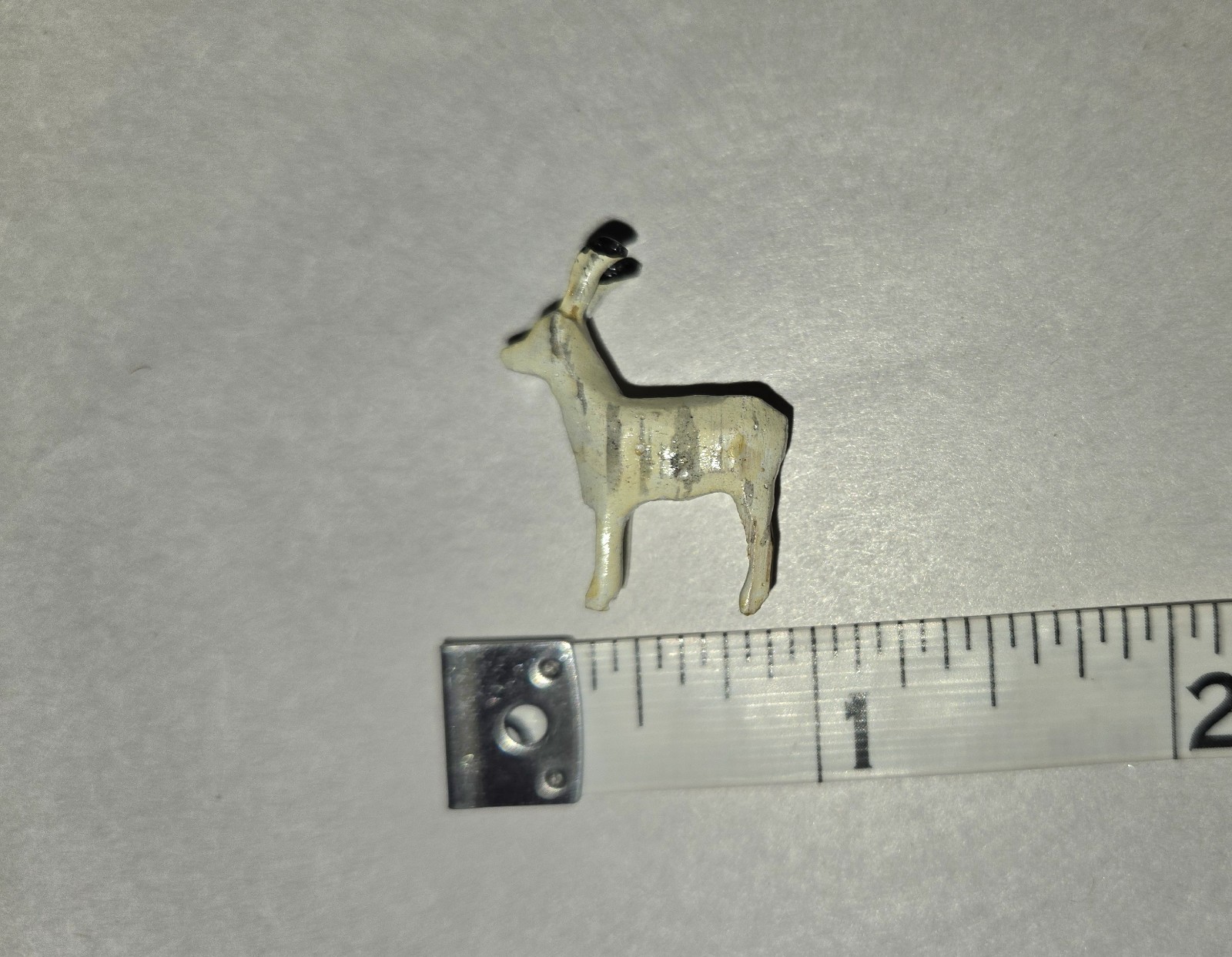 Picture 10 of 12