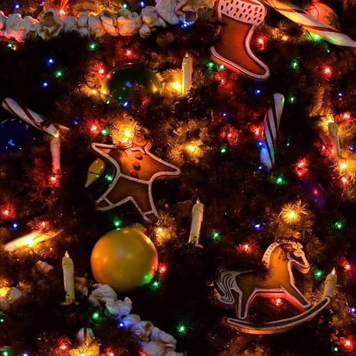 G4 2W/4W Red/Green/Blue/White Capsule Bulbs Light DC12V Decorative Xmas lamp SMD - Picture 12 of 20