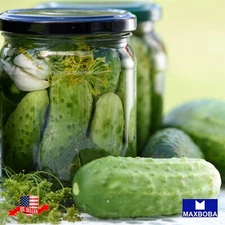 Non-GMO Cucumber Seeds - Homemade Pickles - Organic / Heirloom / Vegetable