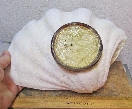 vintage Large 12 inch Clam Shell Trinket dish w attached bottom stand decor item - Picture 7 of 8