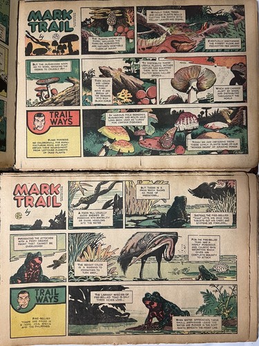 1960-63 Mark Trail Comics (180+) Scrapbooks Environmental Science Newspaper Dodd - Picture 1 of 12