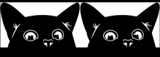 Funny Cat Peeking Two Black Vinyl Graphic Decals Car Truck Window Laptop Tablet