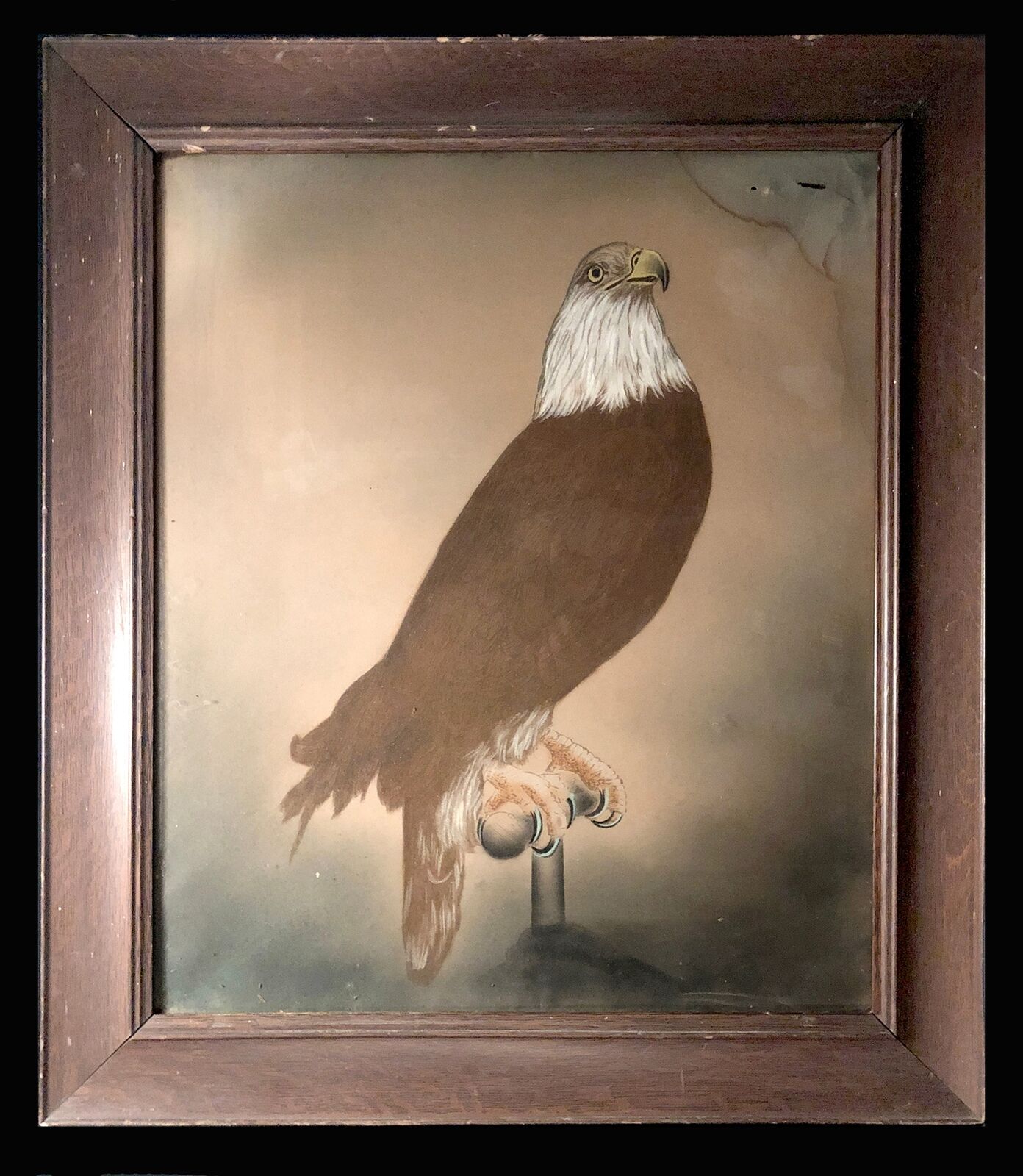 Picture 1 of 7
