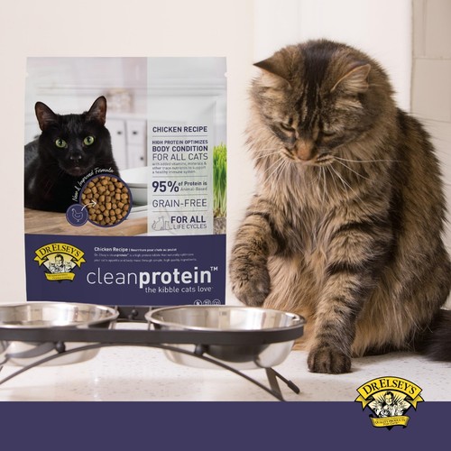 Cleanprotein Grain Free High Protein, Low Carb Dry Cat Food, Chicken, 2lb , P... - Picture 5 of 8