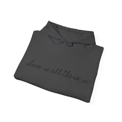 Unisex Heavy Blend™ Hooded Sweatshirt - Picture 25 of 37