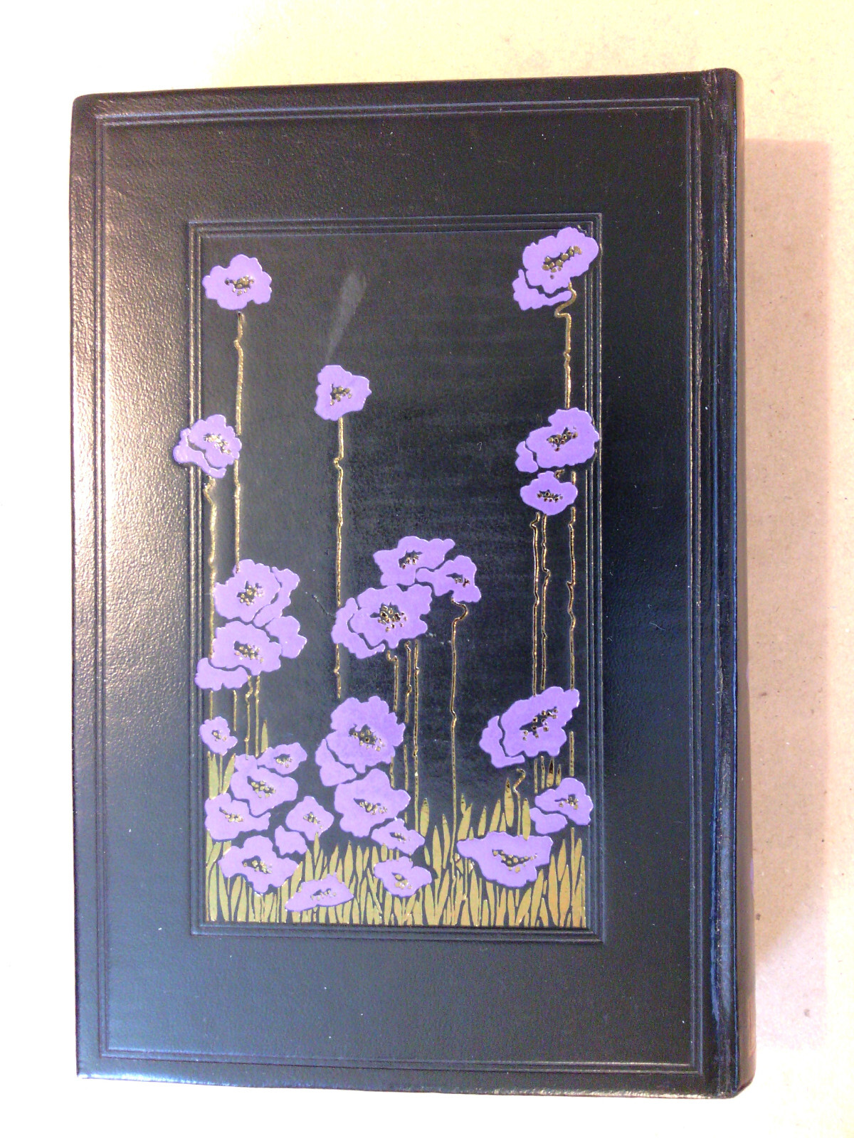 Picture 6 of 7
