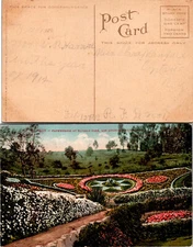 Vintage California Elysian Park Los Angeles Postcard Used 50984