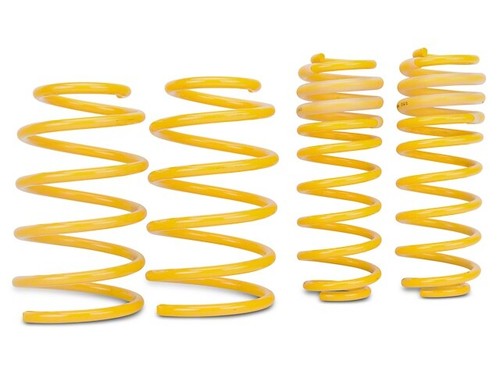 Muelles reductores Apex para Skoda Octavia 1Z Mk2 VRS 2.0TFSi 2.0TDi 20 mm 80-7200 - Imagen 4 de 11