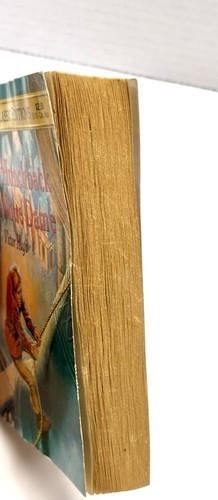 The Hunchback of Notre Dame - Illustrated Classic Editions Softcover Victor Hugo - Imagen 9 de 15