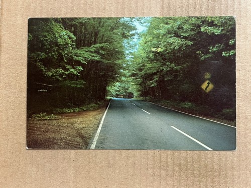 Postcard Michigan MI Copper Harbor Scenic Hwy 41 Keweenaw County Upper Peninsula