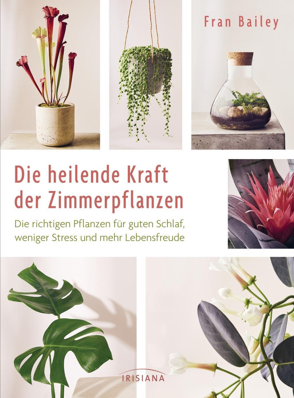 Thumbnail - Die Heilende Kraft Der Zimmerpflanzen | Buch | 9783424153712