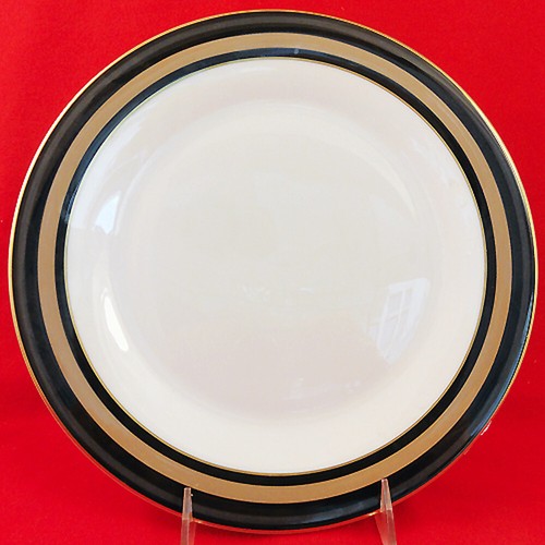 CADENZA H5046 von Royal Doulton 5-teiliges Platzset NEU NIE BENUTZT Made England - Bild 3 von 5