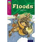 Oxford Reading Tree TreeTops Myths and Legends: Level 10: Floods by Sally Prue (Paperback, 2014)