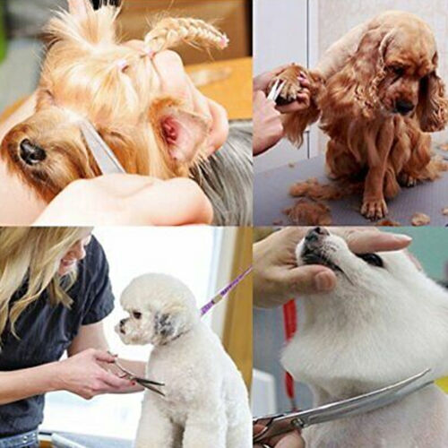 Pet Ear Hair Puller Clamp Forceps Locking Ideal for Dog Cat Grooming, Cleaning - Picture 2 of 135