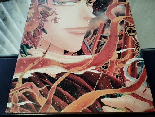 Ilustraciones Yumi Tamura 1 Libro de Arte Llama Basara Usado JAPÓN - Imagen 15 de 15