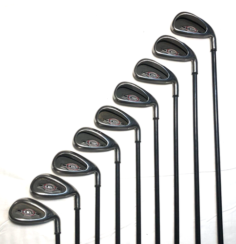 Callaway Big Bertha Irons 4-10, W & S RCH 75 Regular Graphite RH (9 Clubs)