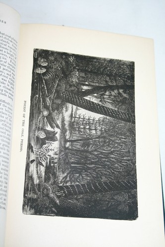 1869 GOLDEN SHEAVES H.A. Cleveland 1ST Edition Humor ILLUSTRATED Steel Engraving - Picture 10 of 12