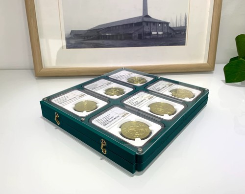 Carpeta de álbum con marco de exhibición de 12 rejillas de colores con soporte para portamonedas PCGS/NGC - Imagen 9 de 12