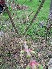 Bild 5 von 6