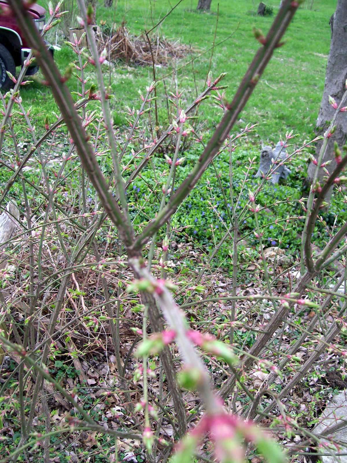 Bild 5 von 6
