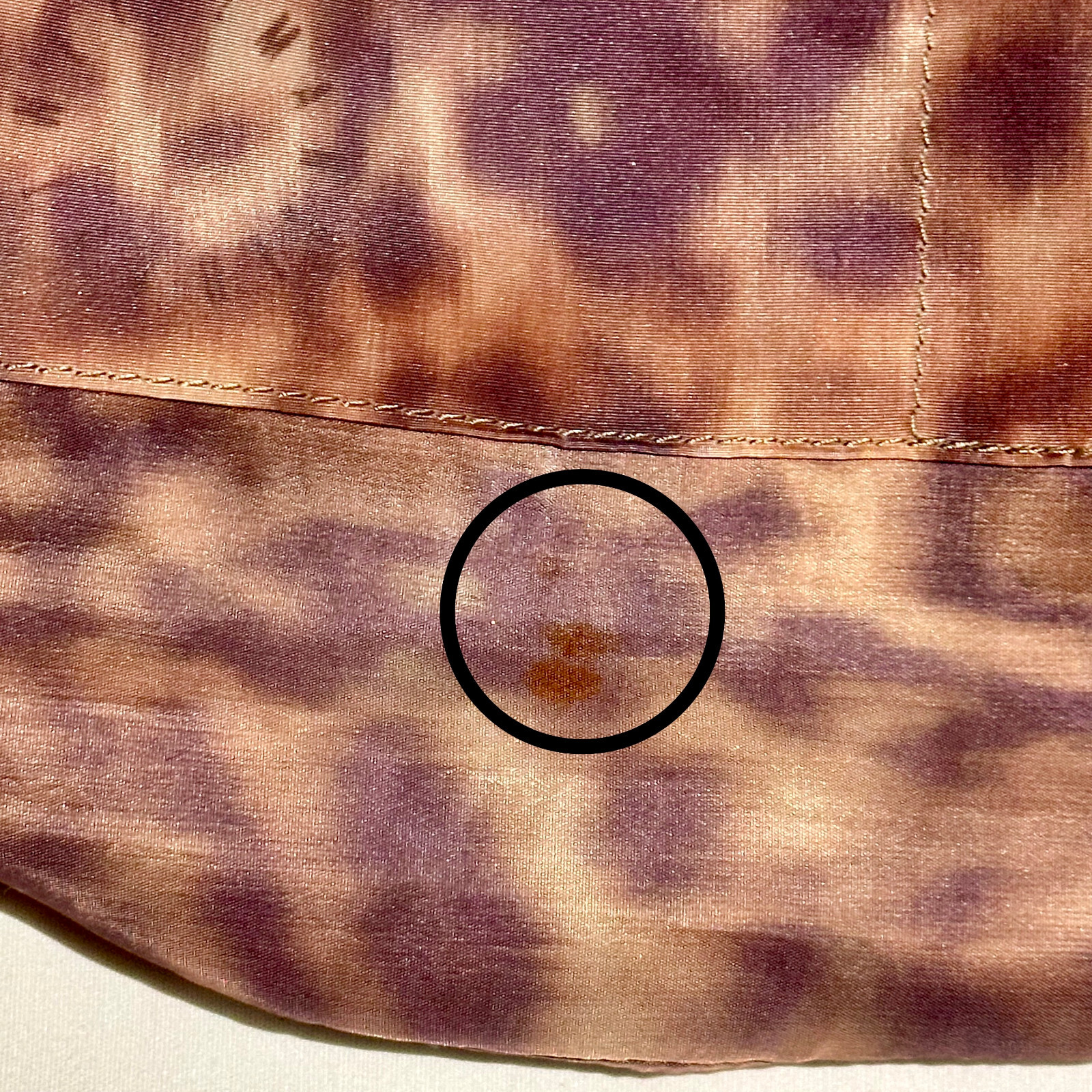Picture 19 of 19