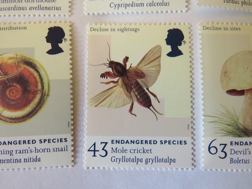 SIX 1998 commemorative stamps 'ENDANGERED SPECIES' - Picture 6 of 7