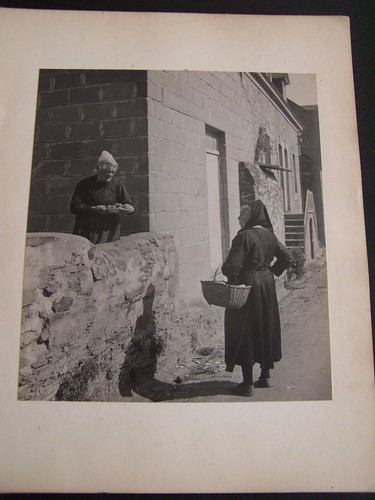 Portfolio 14 Anthony Panting Mounted Photographs Still life Cat Dog People Signs - Picture 15 of 17