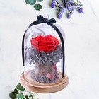 Preserved Rose Glass Cover Glass Cover Creative Valentine's Day