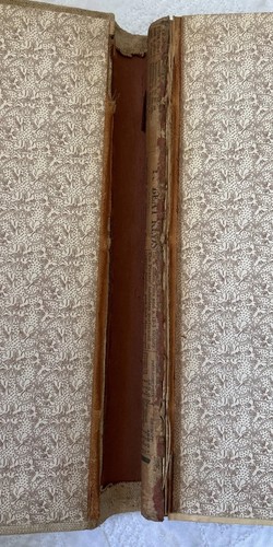 Vtg THE BROWNIES THROUGH THE UNION Palmer Cox 1895 Hardcover - Picture 2 of 17