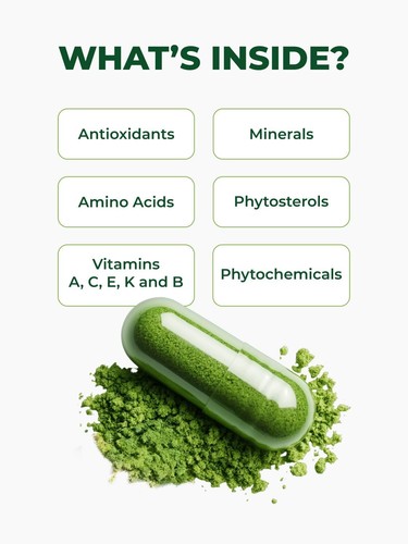 PURA VIDA BIO MORINGA KAPSELN 120CT 500MG SINGLE ORIGIN MORINGA BLATT PULVER - Bild 3 von 7