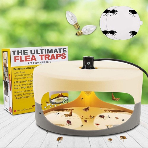 Flohfalle Gute Klebrigkeit Sichere Zutaten Geruchlose Schädlingsbekämpfung DO - Bild 19 von 22