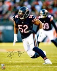Khalil Mack Autographed Signed 16x20 Photo Chicago Bears Fanatics Holo