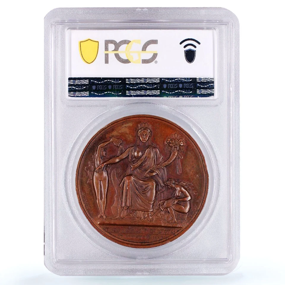 Francia Napoleón Ourcq Canal Historia Bramsen-868 SP63 PCGS medalla de bronce 1809 Foto 2 de 2