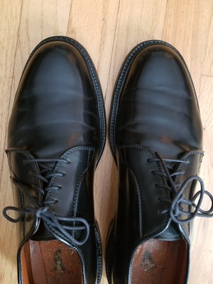 Alden Plain Toe Blucher Shoe