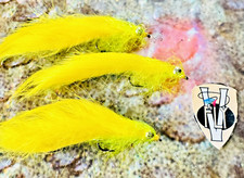 3 V Fly Size 10 Ultimate Sunburst Rio Grande Zonker Sea Trout & Trout Flies