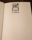 Foto 7 di 7