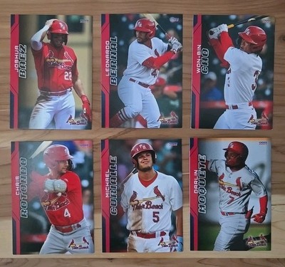 2023 Palm Beach Cardinals SINGLE CARDS from Team Card Set - CHOOSE YOUR PLAYER