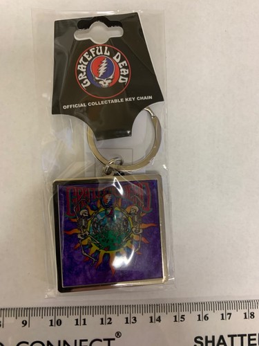 GRATEFUL DEAD SKELTON ARCHES LOGO ROUND HIGH QUALITY METAL KEY CHAIN OFFICIAL - Afbeelding 1 van 7