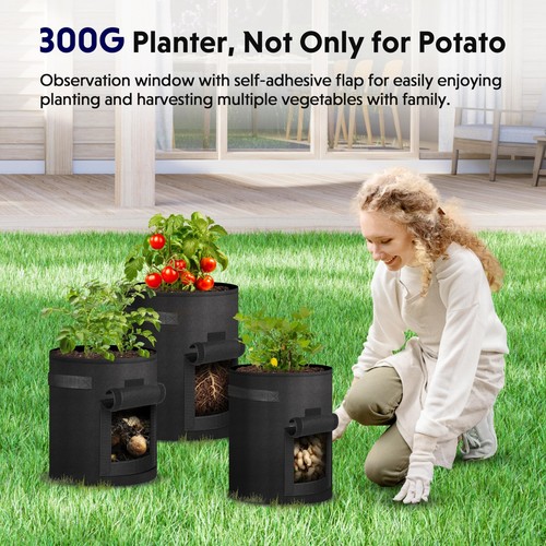 10-Gallon Potato Grow Bags Planter Pots with Visual Window for Tomato 6-Pack - Picture 5 of 7