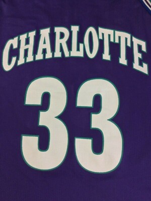 Charlotte Hornets Alonzo Mourning #33 Basketball-NBA Champion