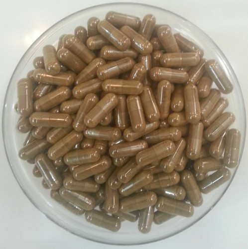 Antrodia Taiwanofungus camphoratus cinnamomea 20:1 EXTRACT Capsules 500mg*200pcs - Bild 1 von 1