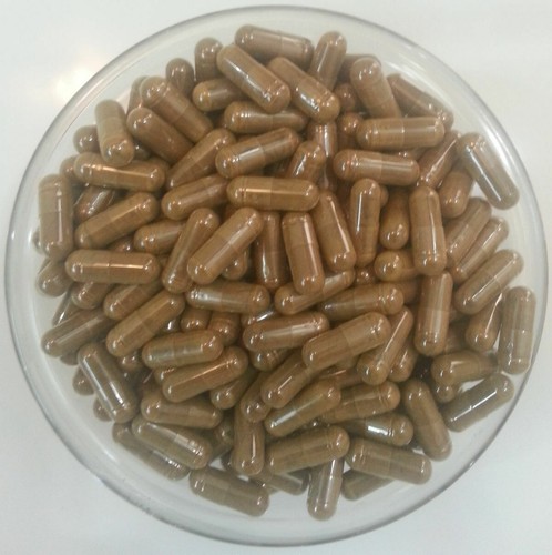 Antrodia Taiwanofungus camphoratus cinnamomea 20:1 EXTRAIT capsules 450 mg * 200 pièces - Photo 1/1