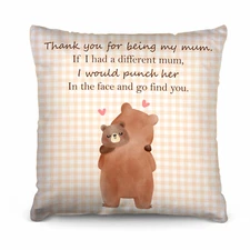 Thank you for being my mum Neutral Gingham - Mother's day Cushion - Two Sizes