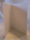 Bild 25 von 54