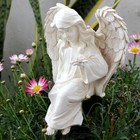 Bild 8 von 12