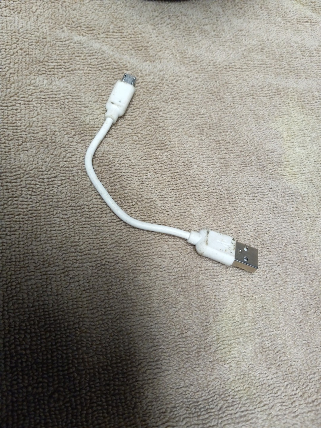 Picture 5 of 5