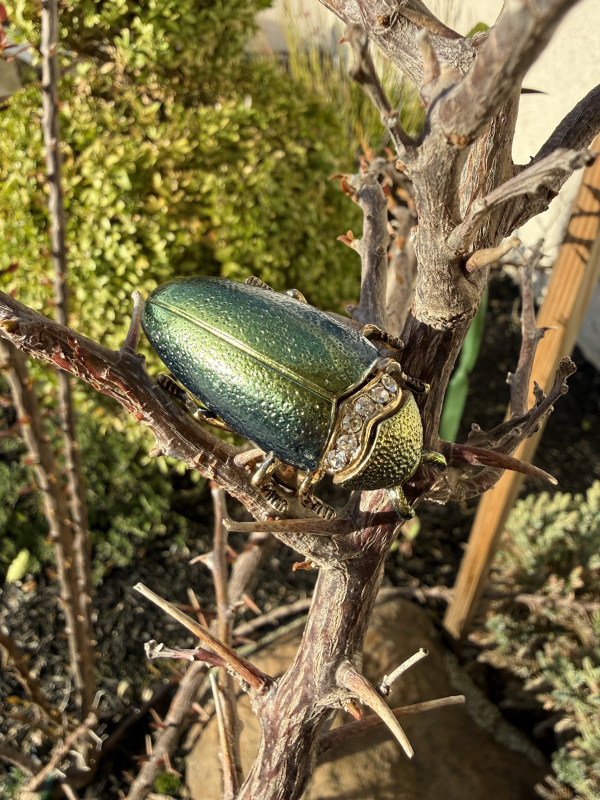 Beautiful Unique Large Statement Beatle Ring Wond… - image 1