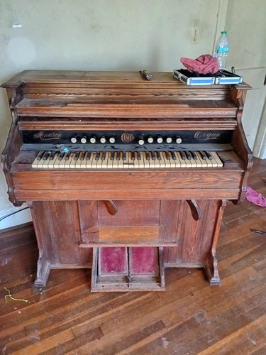 Organ 