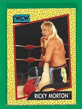 1991 Impel WCW Ricky Morton #99