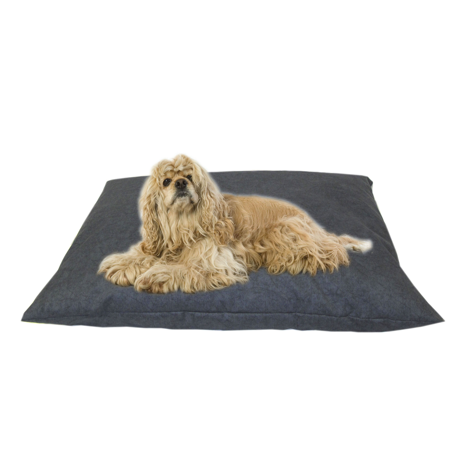 Carolina Pet Indoor Outdoor bluee Pet Bed Carolina Pet Indoor Outdoor bluee Pet Bed